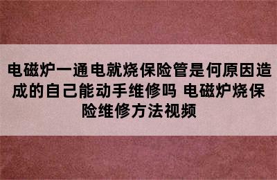 电磁炉一通电就烧保险管是何原因造成的自己能动手维修吗 电磁炉烧保险维修方法视频